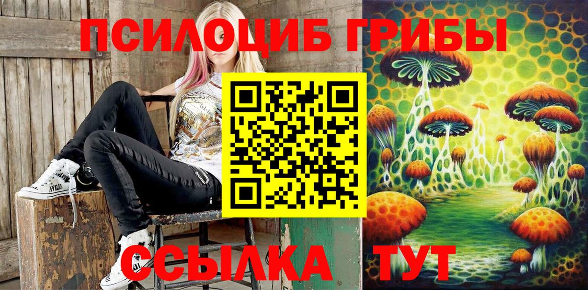 Нальчик  Галлюциногенные грибы GOLDEN TEACHER  дарнет шоп  Вход с VPN  Галлюциногенные грибы Psilocybe 